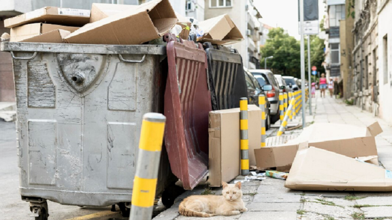 4. Check Disposal Rules and Restrictions