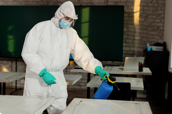 Humid Conditions Increase Termite Activity