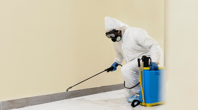 Understanding Why Humidity Makes Household Pests Thrive