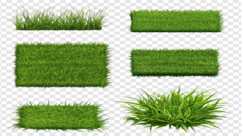 Green Patch
