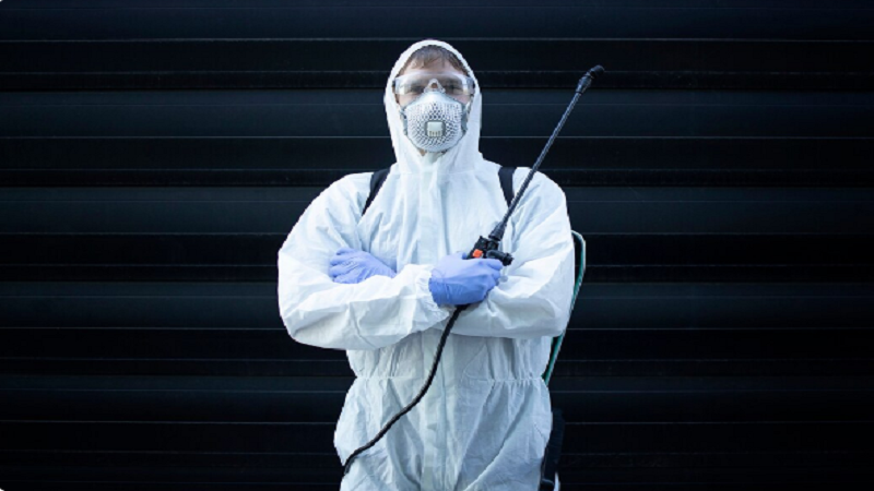 How Does The Humid Climate Affect Household Pest Activity?
